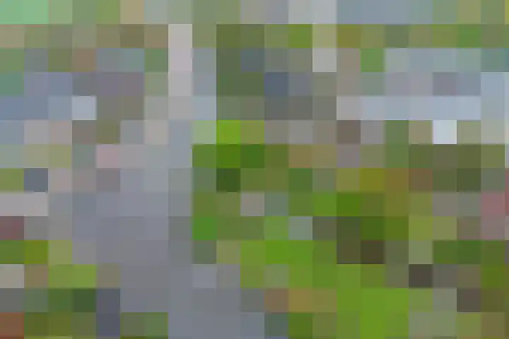 Noordbuurtseweg 35 Zoeterwoude thumbnail 45