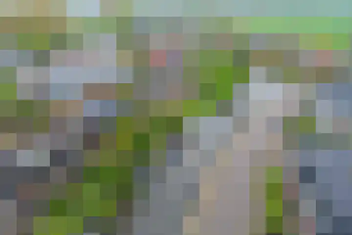 Noordbuurtseweg 35 Zoeterwoude thumbnail 47