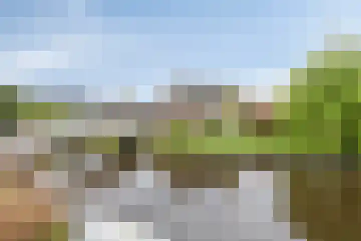 Noordbuurtseweg 35 Zoeterwoude thumbnail 49