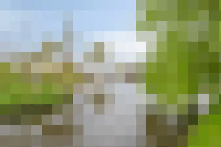 Noordbuurtseweg 35 Zoeterwoude thumbnail 51