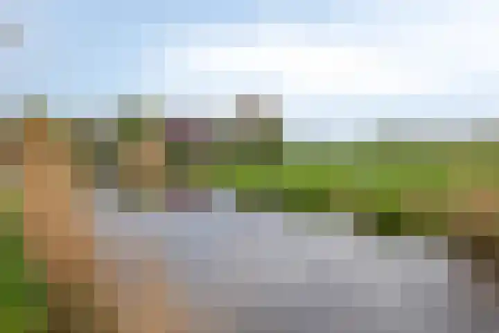 Noordbuurtseweg 35 Zoeterwoude thumbnail 52