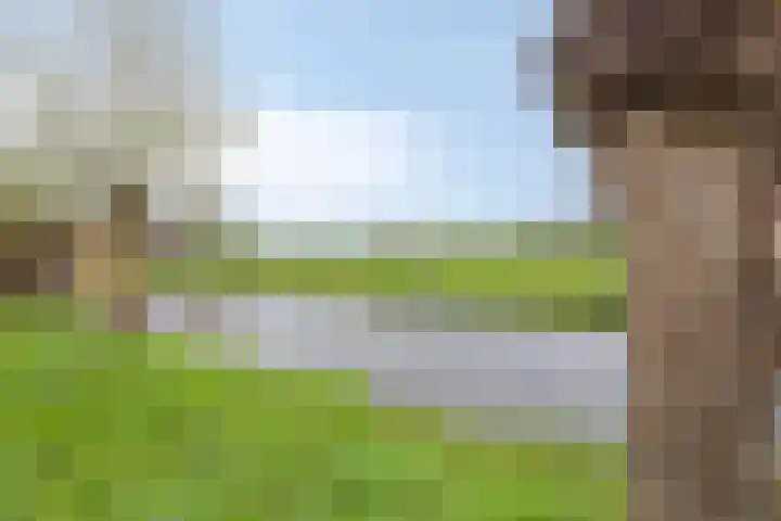 Noordbuurtseweg 35 Zoeterwoude thumbnail 53