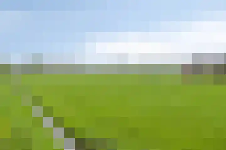 Noordbuurtseweg 35 Zoeterwoude thumbnail 54