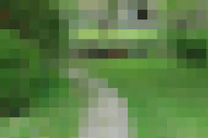 Noordbuurtseweg 35 Zoeterwoude thumbnail 57