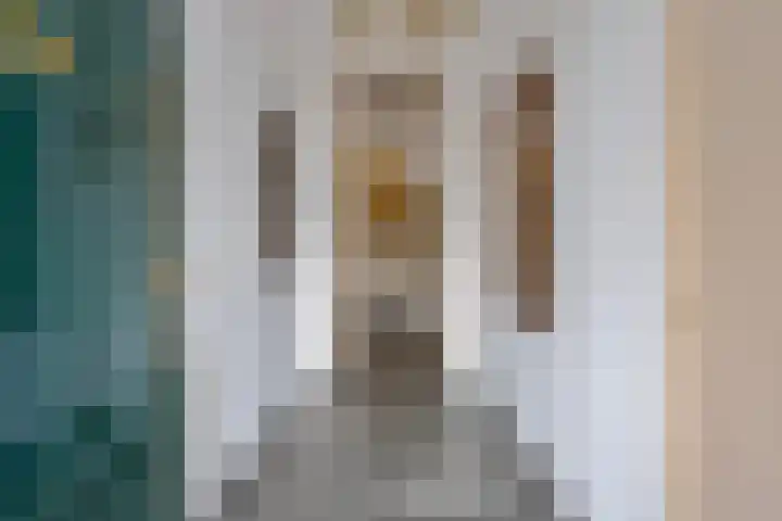 Noordbuurtseweg 35 Zoeterwoude thumbnail 6