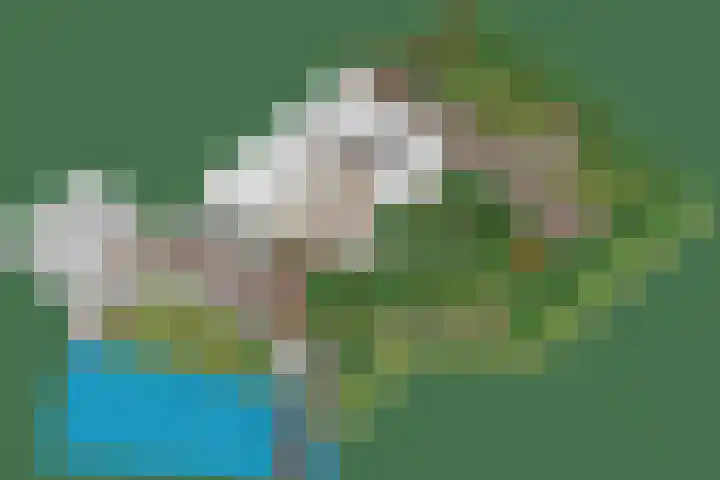 Noordbuurtseweg 35 Zoeterwoude thumbnail 60
