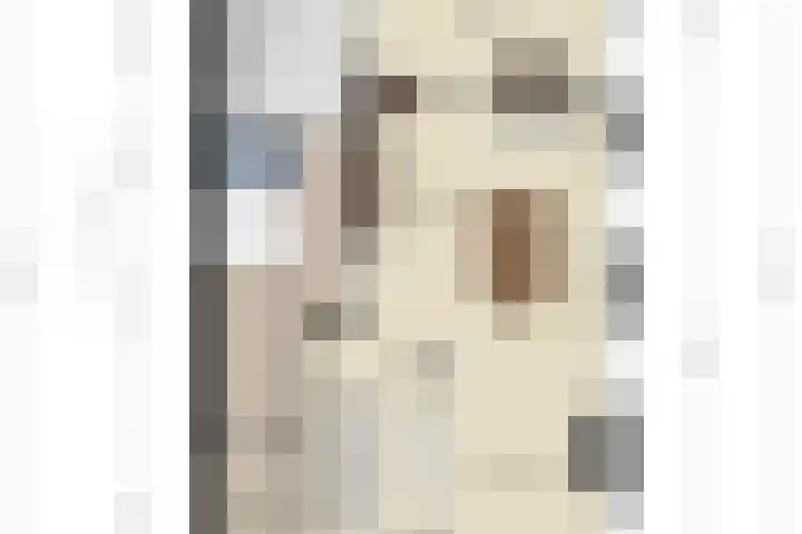 Noordbuurtseweg 35 Zoeterwoude thumbnail 61