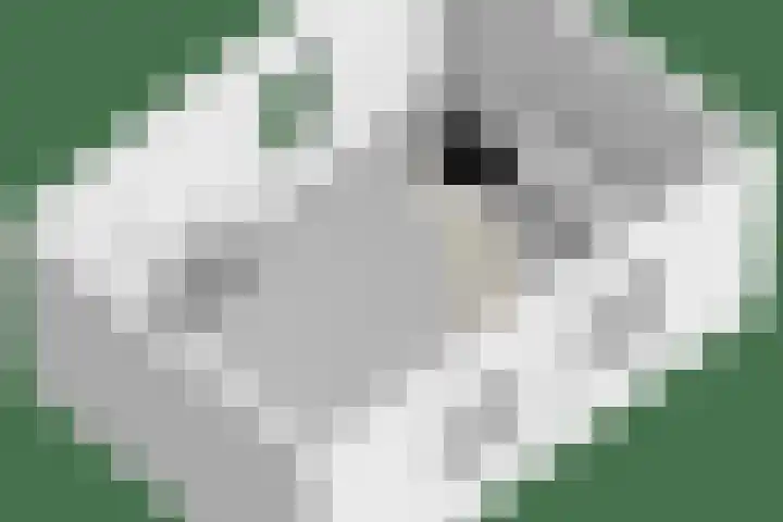 Noordbuurtseweg 35 Zoeterwoude thumbnail 68