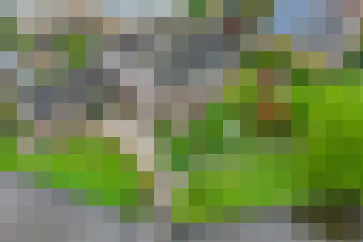 Noordbuurtseweg 35 Zoeterwoude thumbnail 71