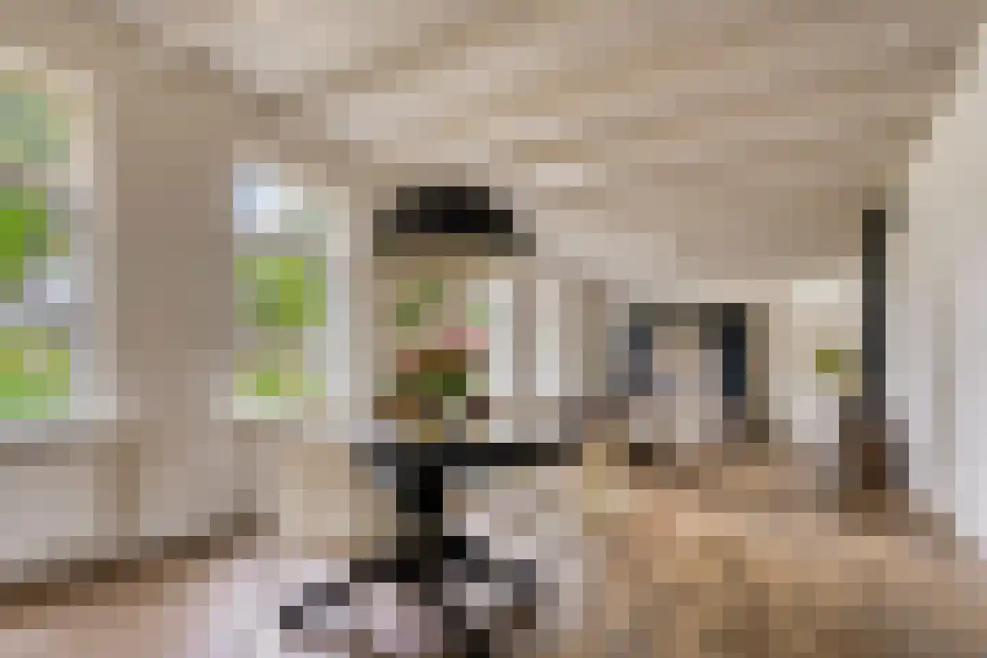 Noorddammerlaan 105 Amstelveen thumbnail 10
