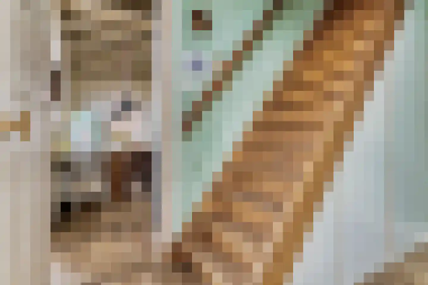 Noorddammerlaan 105 Amstelveen thumbnail 22