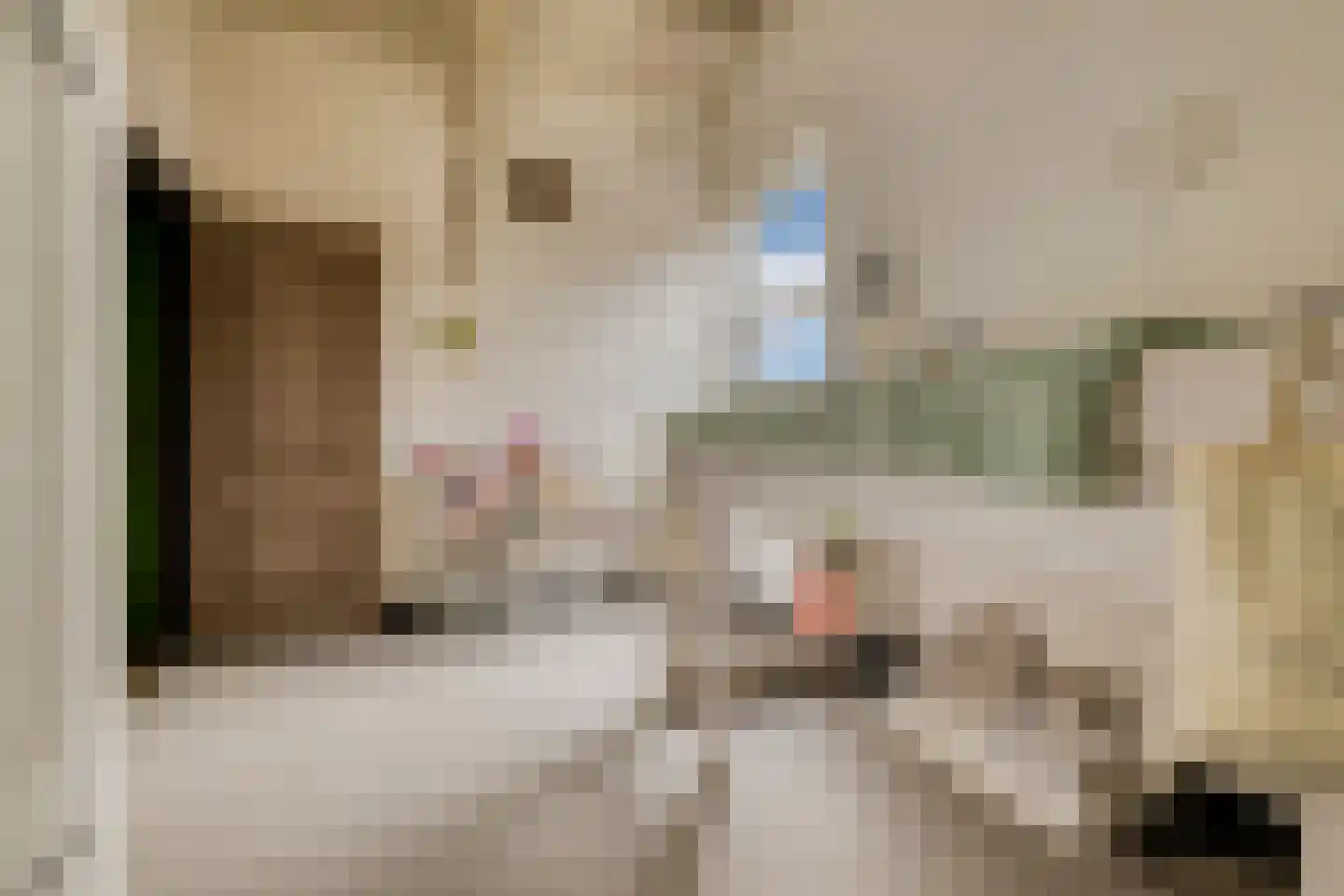 Noorddammerlaan 105 Amstelveen thumbnail 32