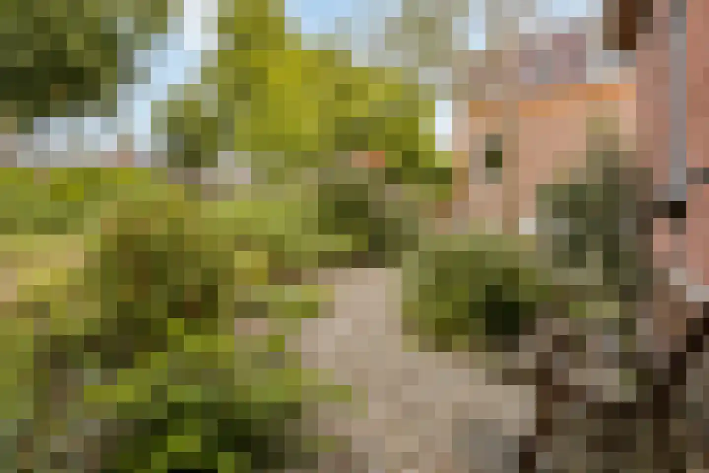 Noorddammerlaan 105 Amstelveen thumbnail 49