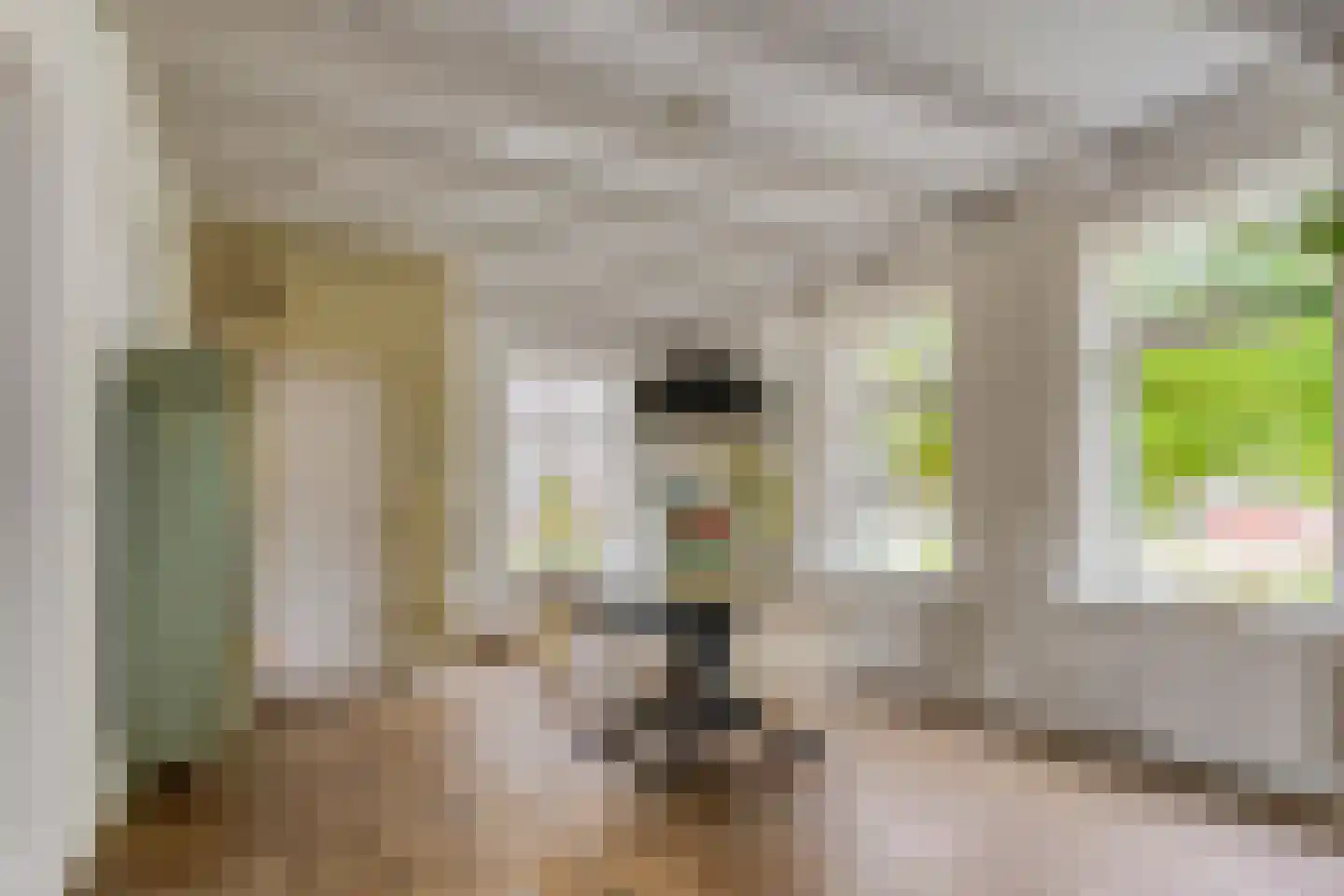 Noorddammerlaan 105 Amstelveen thumbnail 7