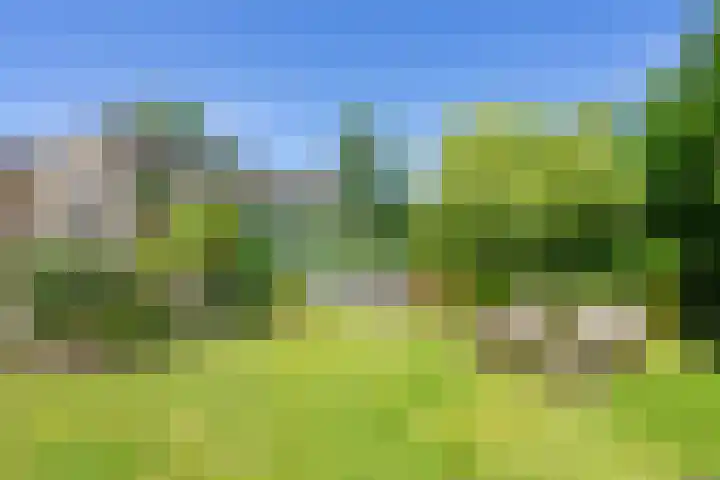 Noorddammerlaan 40 Amstelveen thumbnail 13