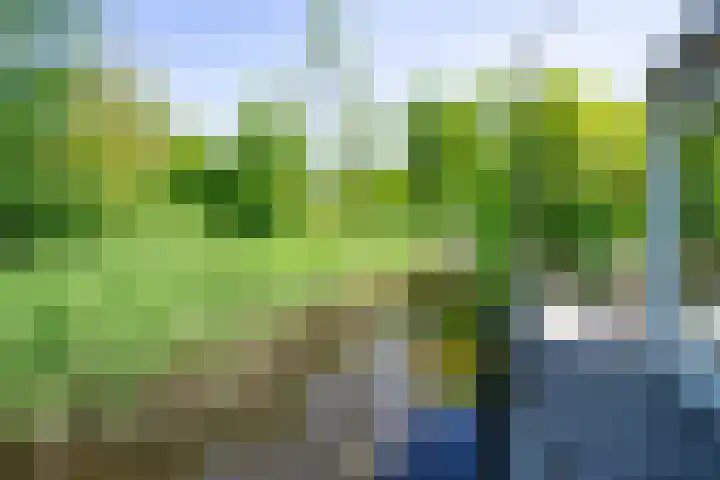 Noorddammerlaan 40 Amstelveen thumbnail 14