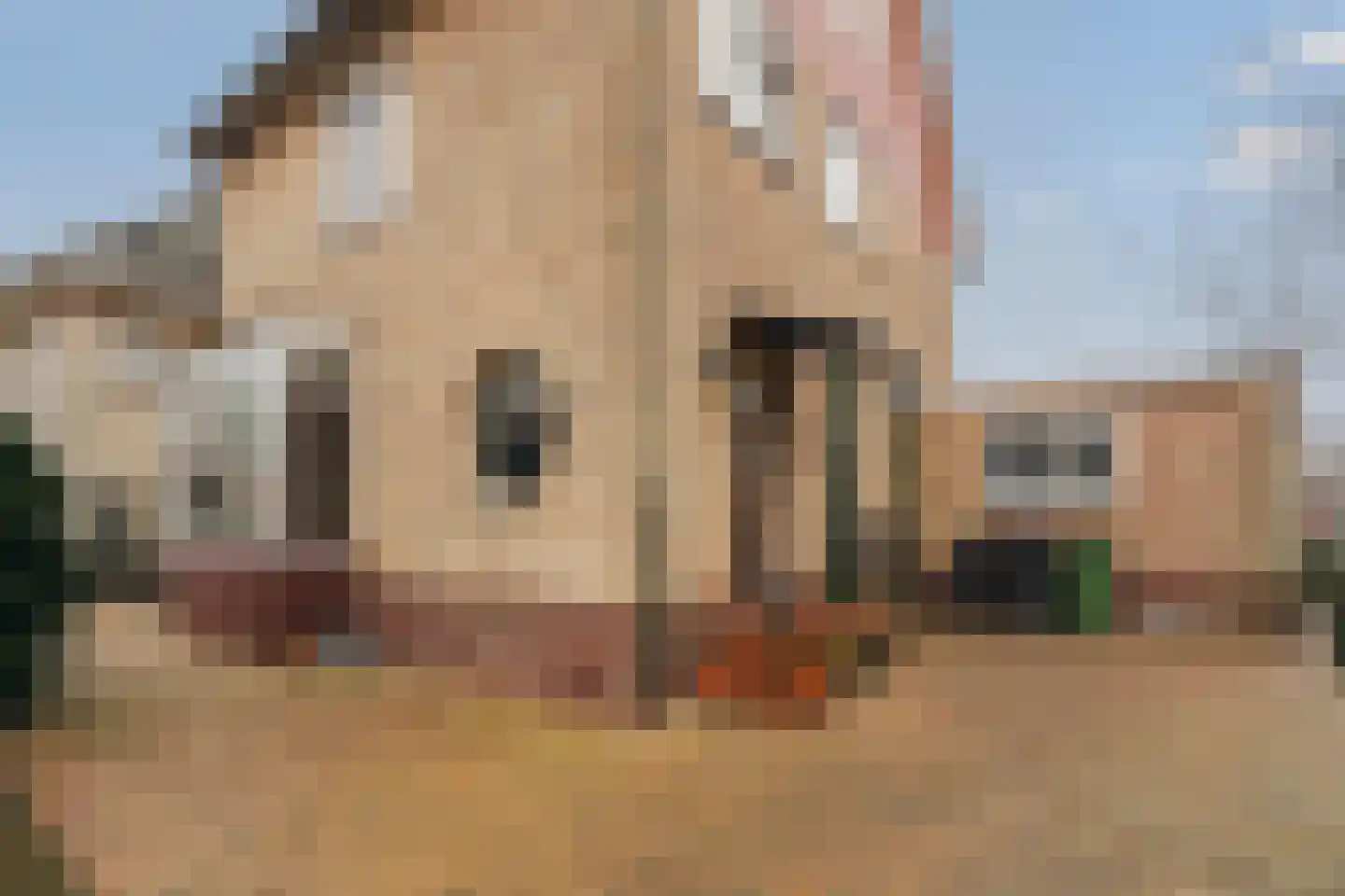 Noorddammerlaan 63 Amstelveen thumbnail 5