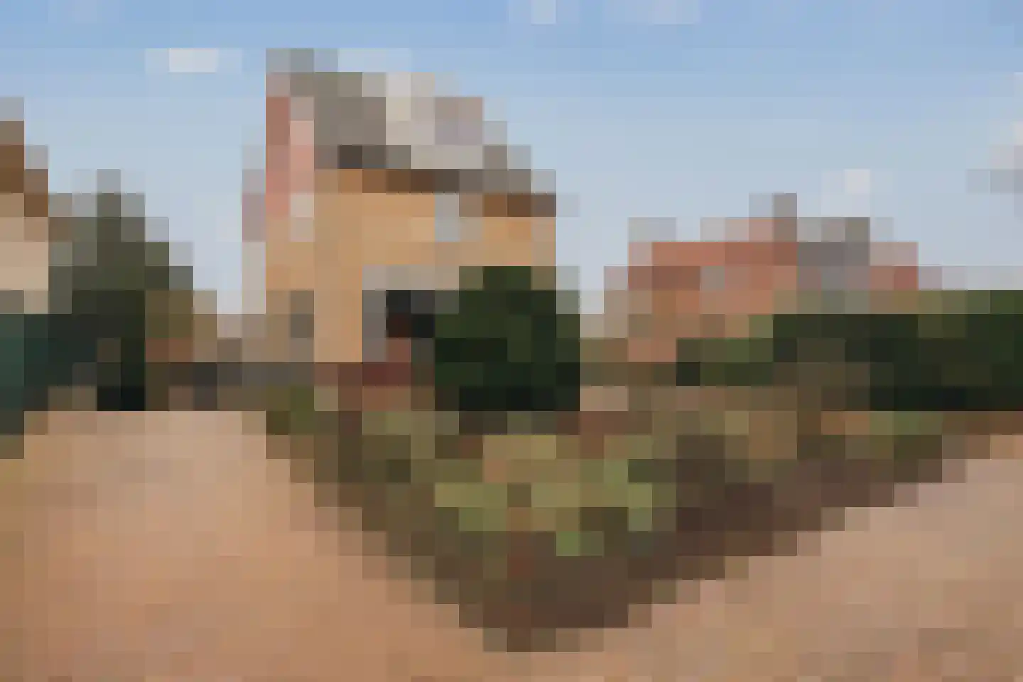 Noorddammerlaan 63 Amstelveen thumbnail 62