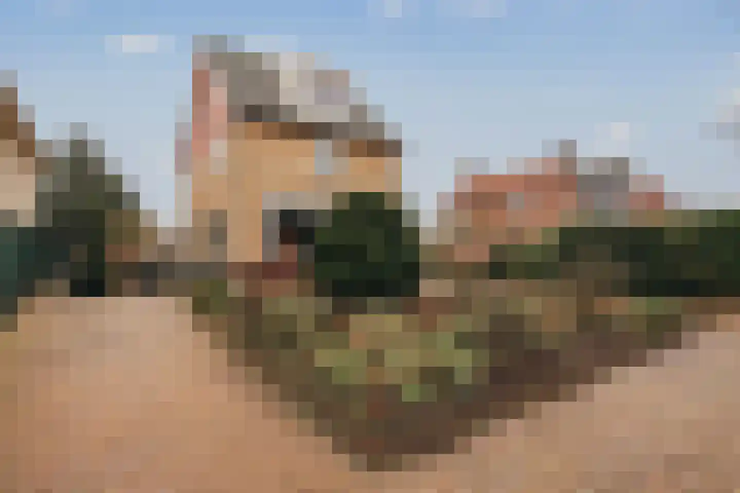 Noorddammerlaan 63 Amstelveen thumbnail 62
