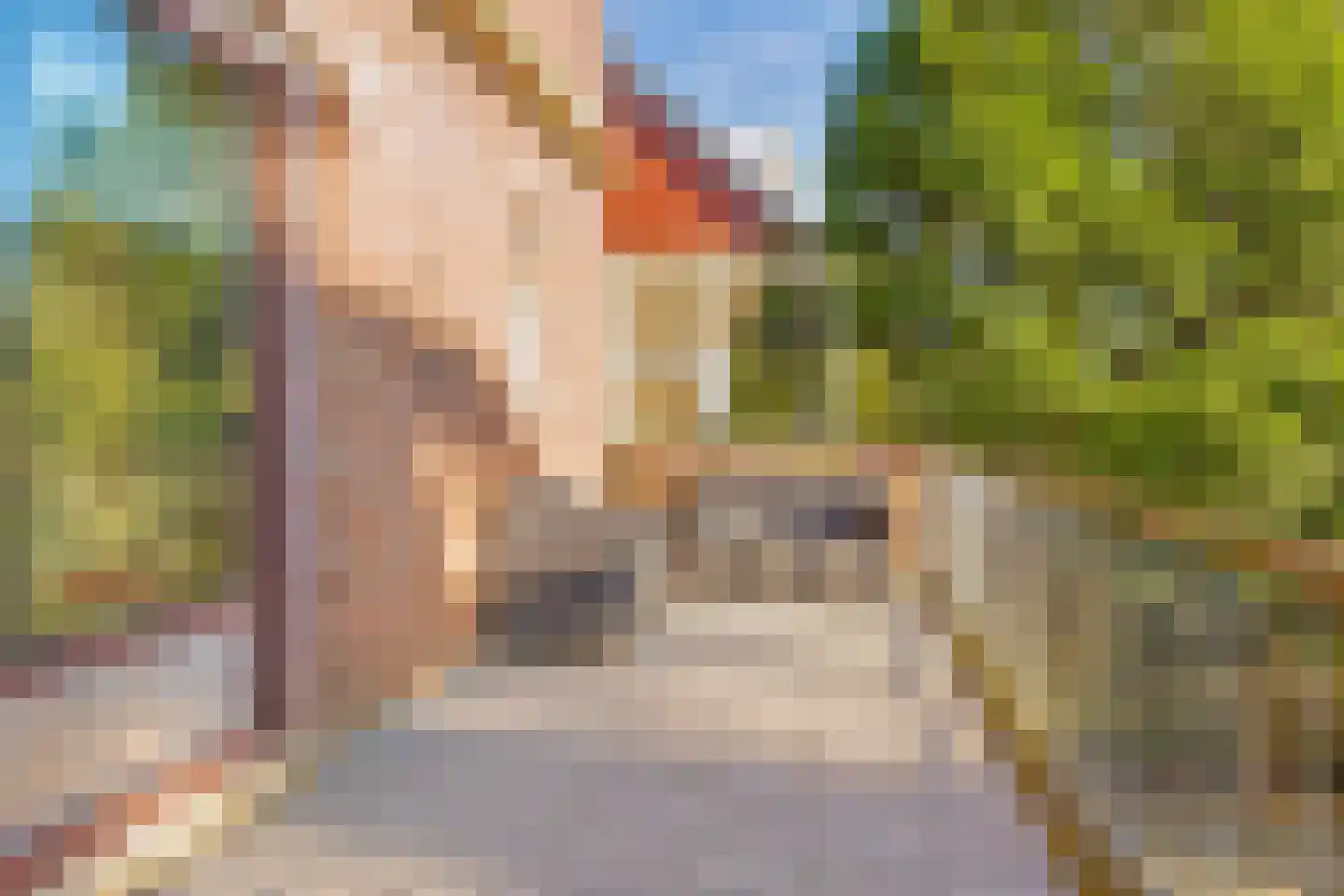 Noorddammerlaan 65 Amstelveen thumbnail 33