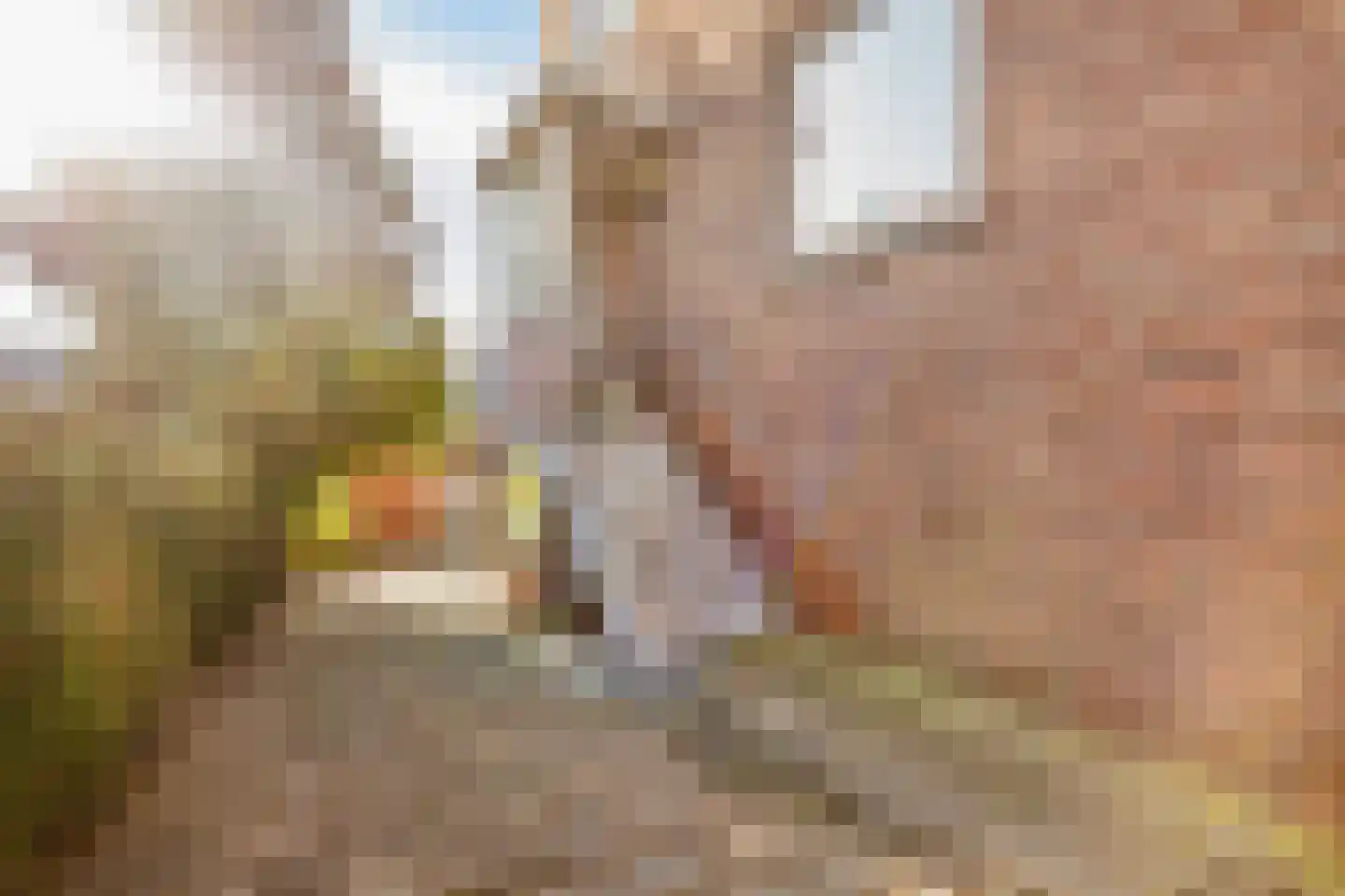 Noorddammerlaan 65 Amstelveen thumbnail 5