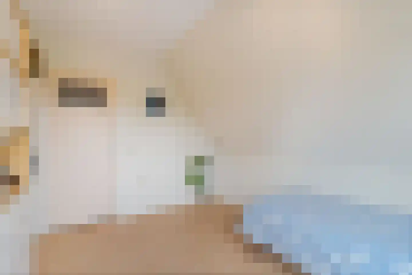 Noorddammerlaan 68 Amstelveen thumbnail 20