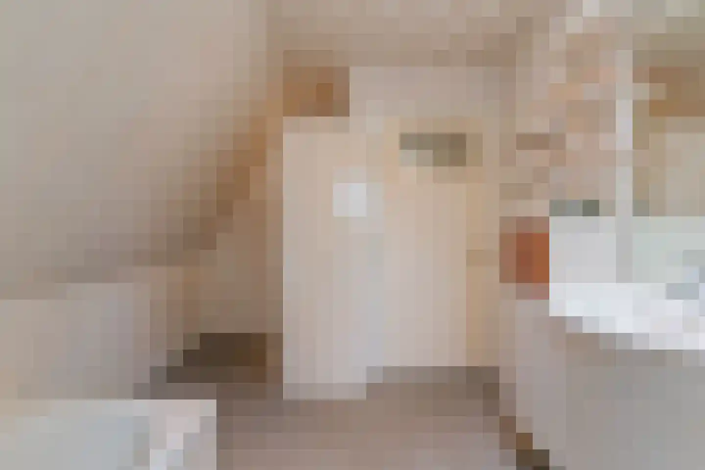 Noorddammerlaan 68 Amstelveen thumbnail 32