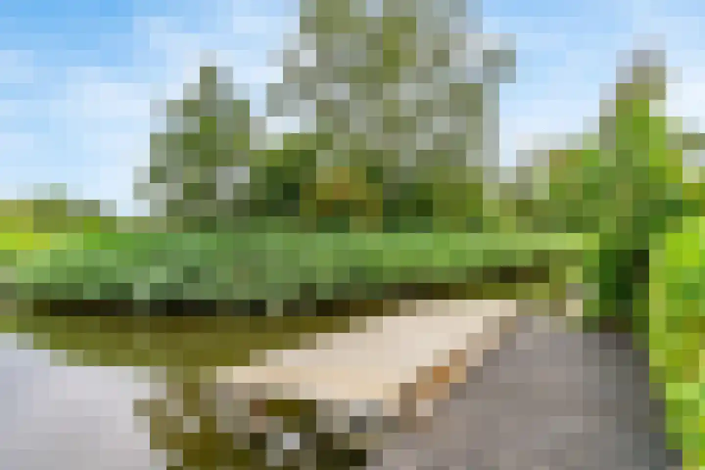 Noorddammerlaan 68 Amstelveen thumbnail 39