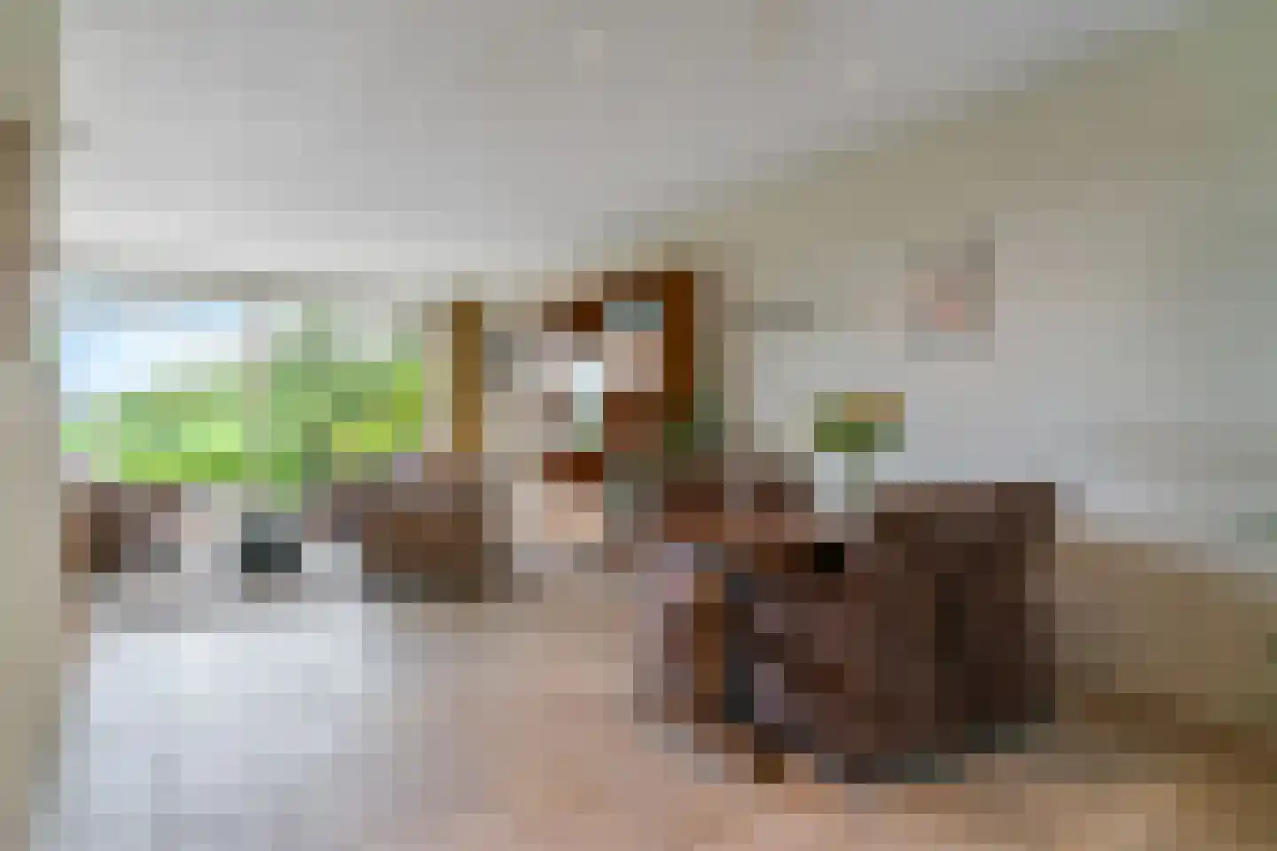 Noorddammerlaan 68 Amstelveen thumbnail 8