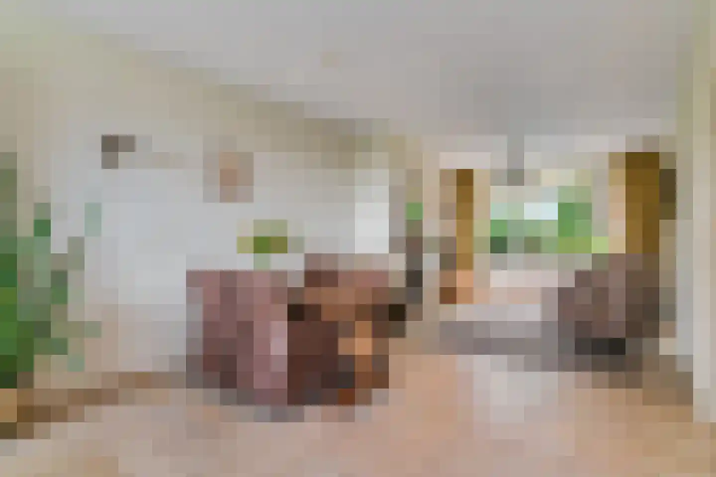 Noorddammerlaan 68 Amstelveen thumbnail 9