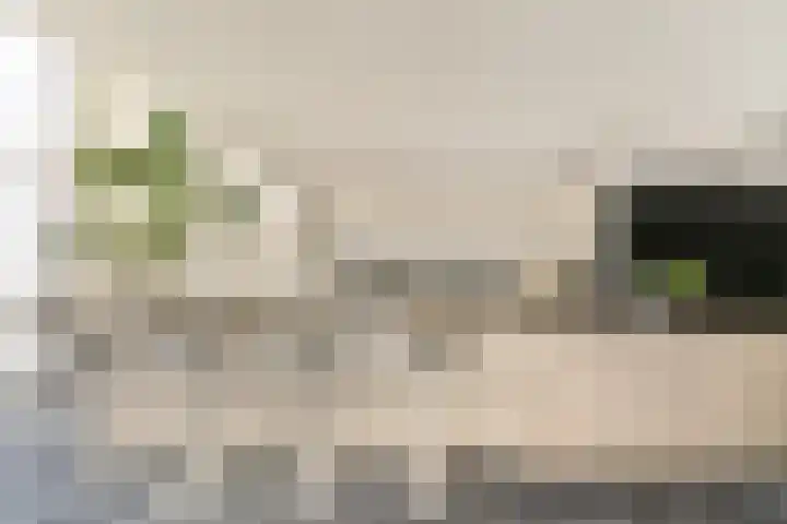 Noorddammerlaan 69 Amstelveen thumbnail 11