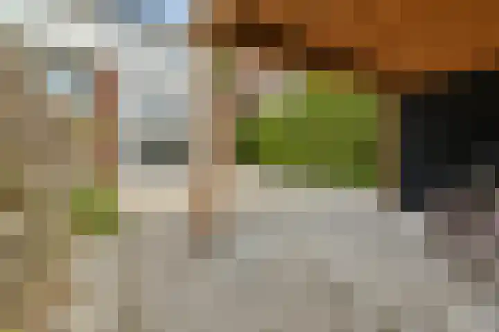 Noorddammerlaan 69 Amstelveen thumbnail 39