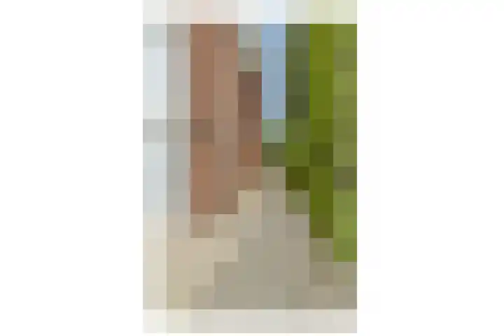 Noorddammerlaan 69 Amstelveen thumbnail 42