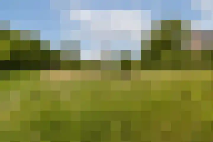 Noorddammerlaan 69 Amstelveen thumbnail 47