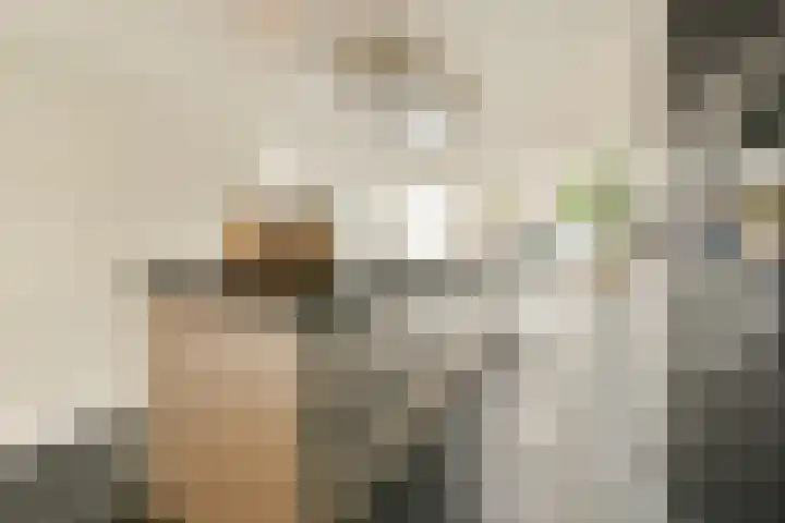 Noorddammerlaan 69 Amstelveen thumbnail 6