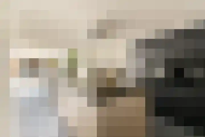 Noorddammerlaan 69 Amstelveen thumbnail 7