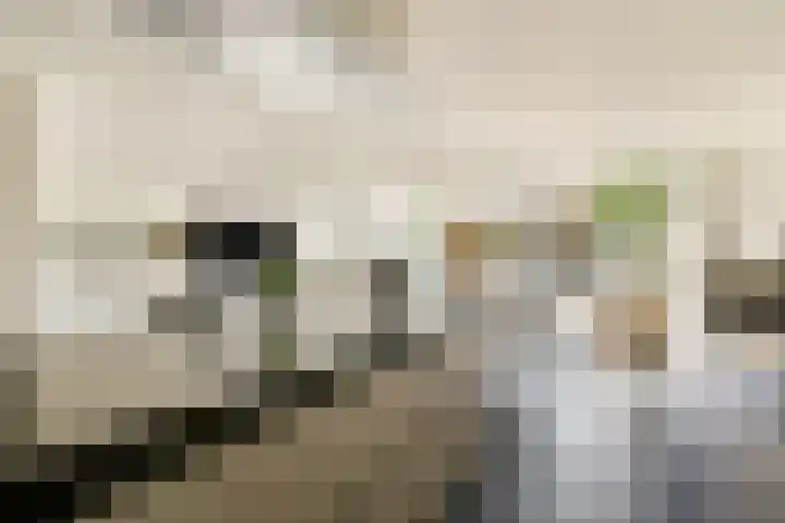 Noorddammerlaan 69 Amstelveen thumbnail 8