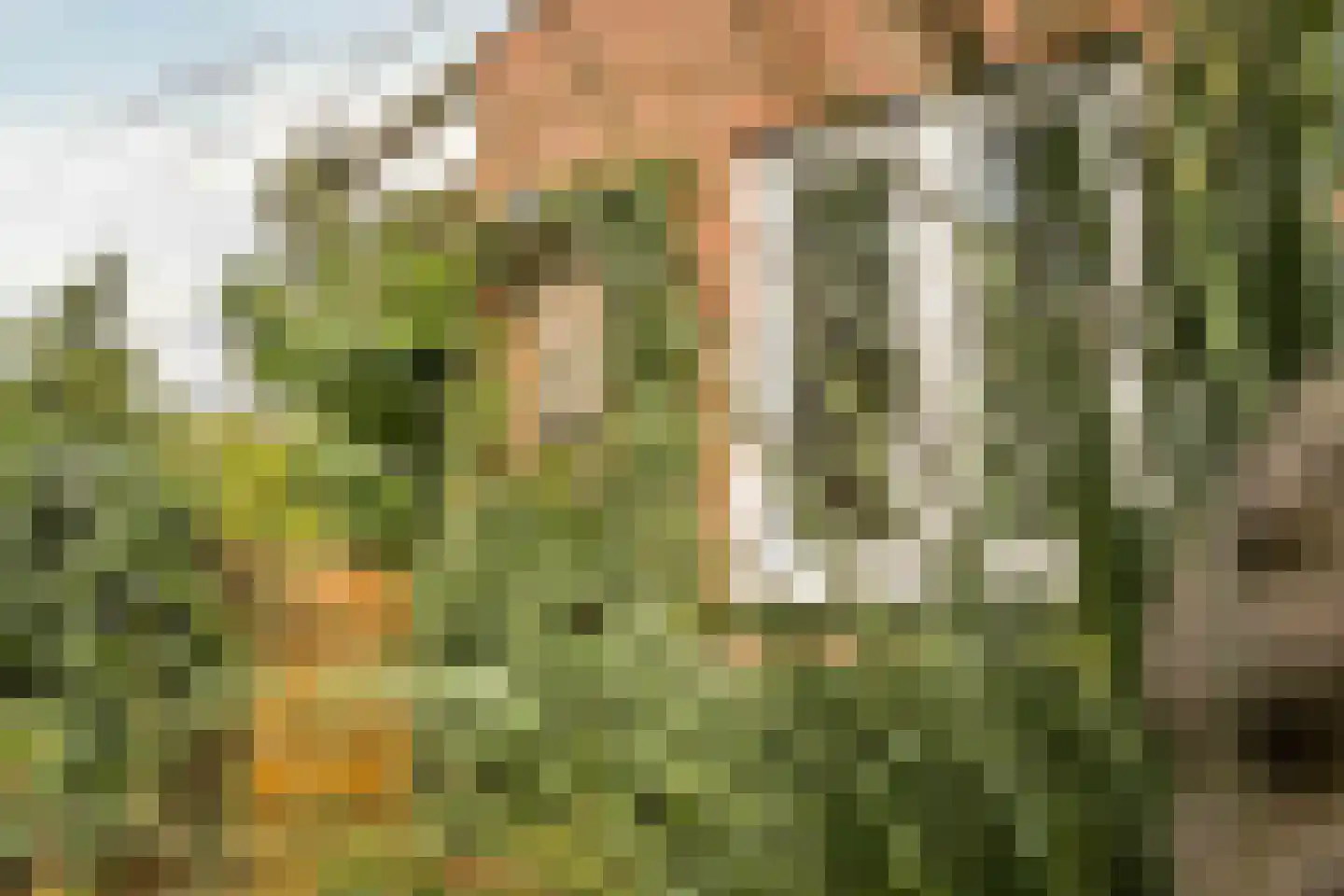 Noorddammerlaan 92 Amstelveen thumbnail 17