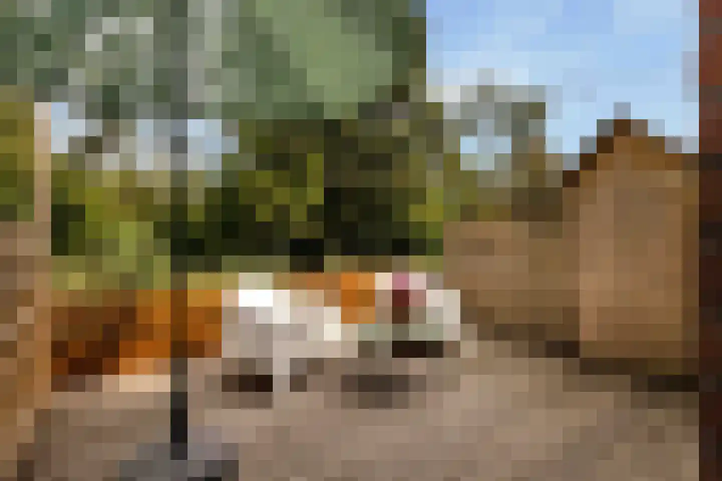Noorddammerlaan 92 Amstelveen thumbnail 4