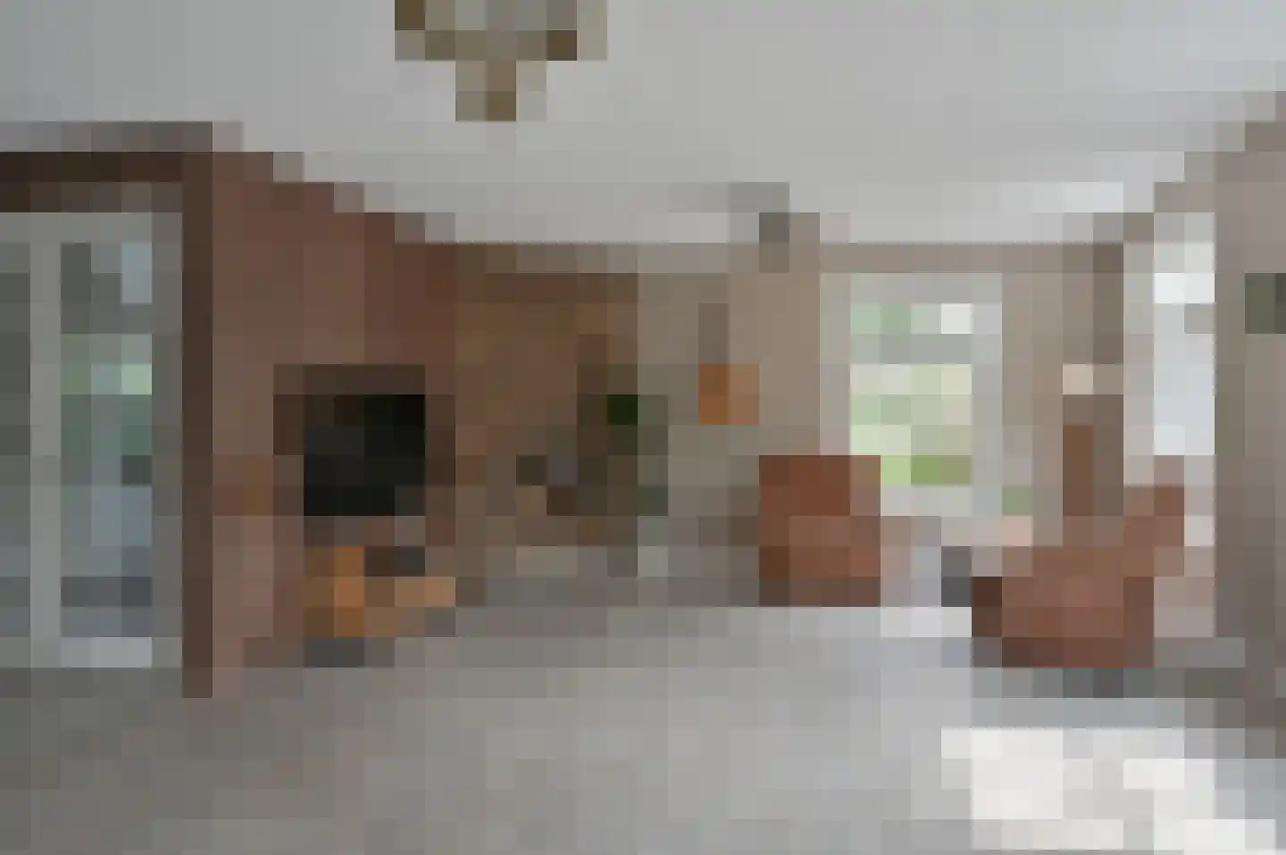 Noorddammerweg 1 h 2 De Kwakel thumbnail 11