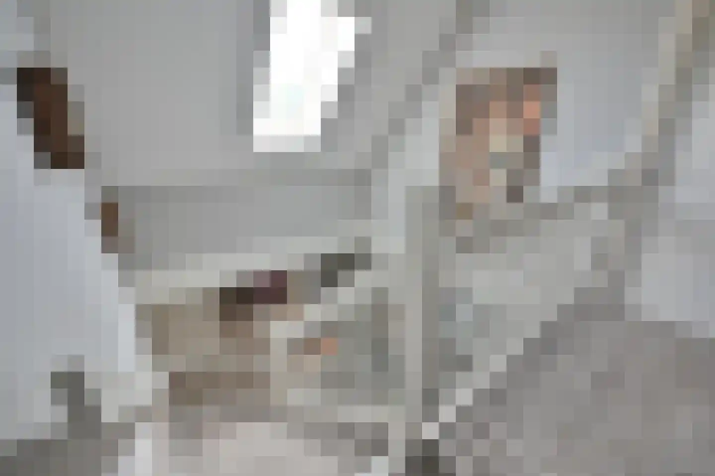 Noorddammerweg 1 h 2 De Kwakel thumbnail 18