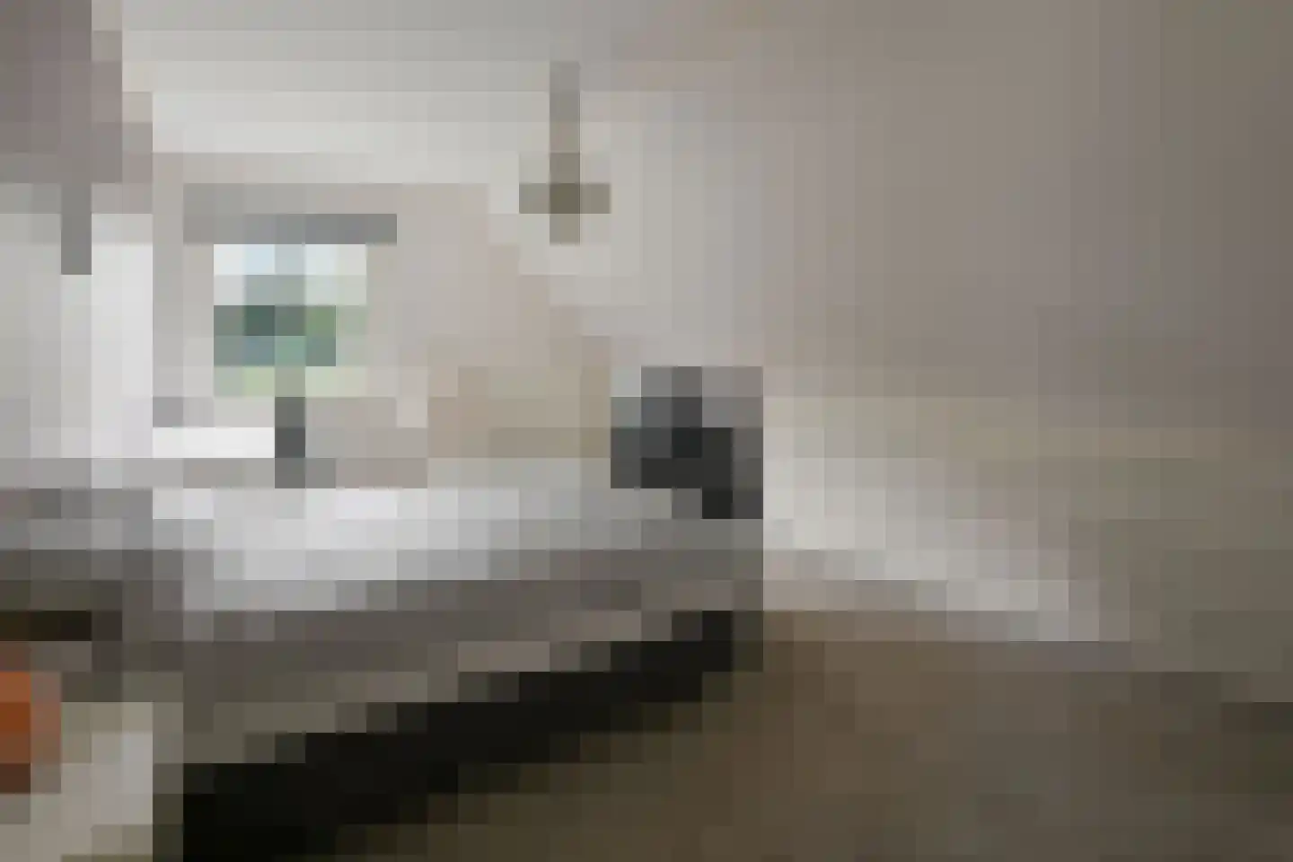Noorddammerweg 1 h 2 De Kwakel thumbnail 22