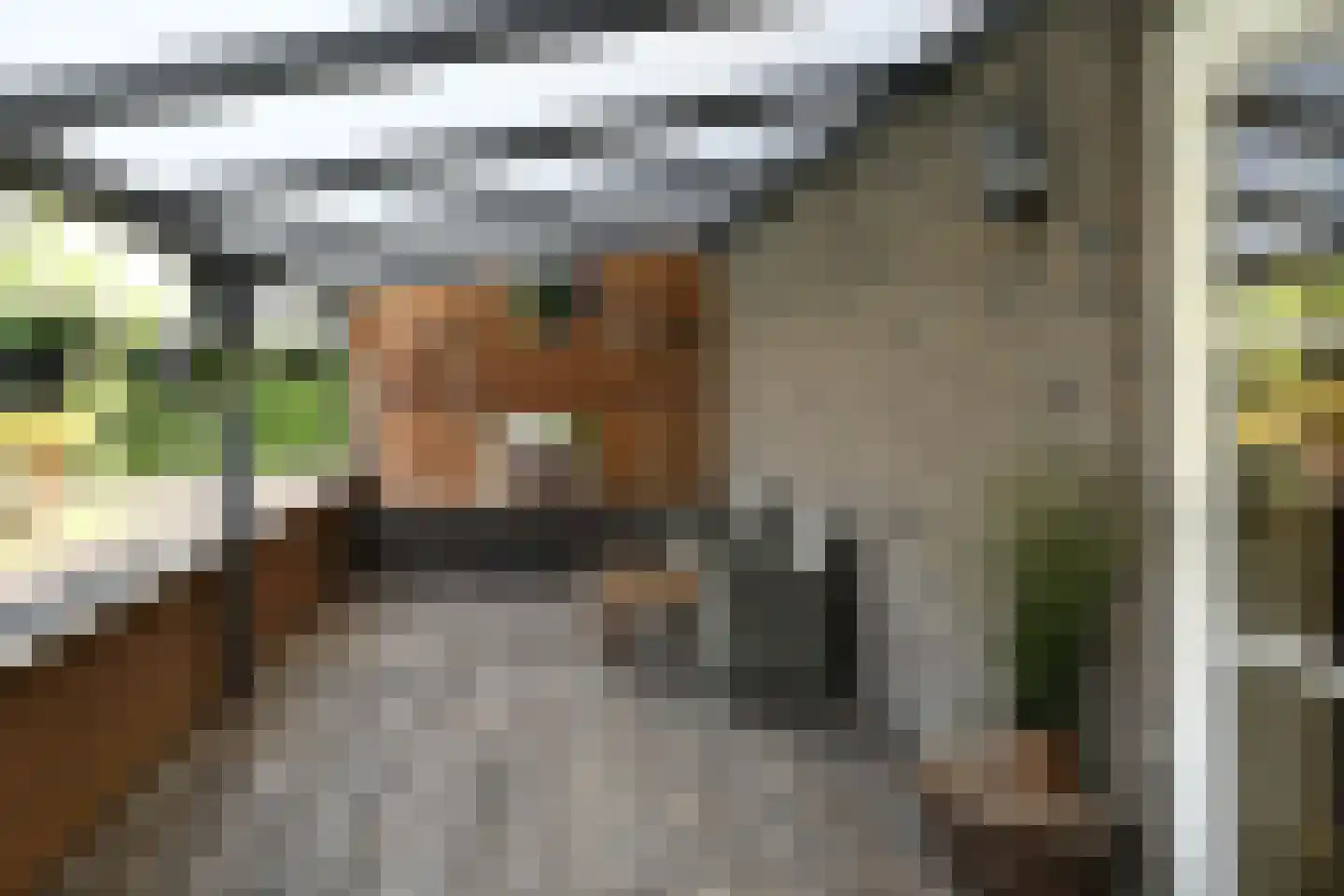 Noorddammerweg 1 h 2 De Kwakel thumbnail 27