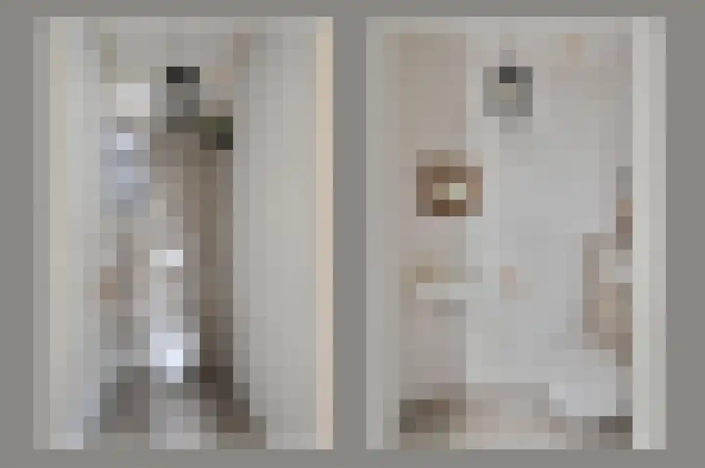 Noorddammerweg 1 h 2 De Kwakel thumbnail 30