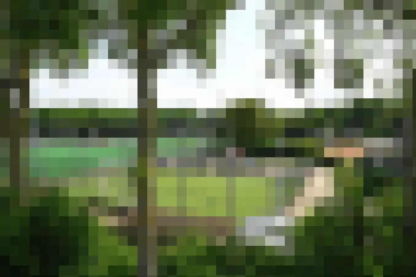 Noorddammerweg 1 h 2 De Kwakel thumbnail 37