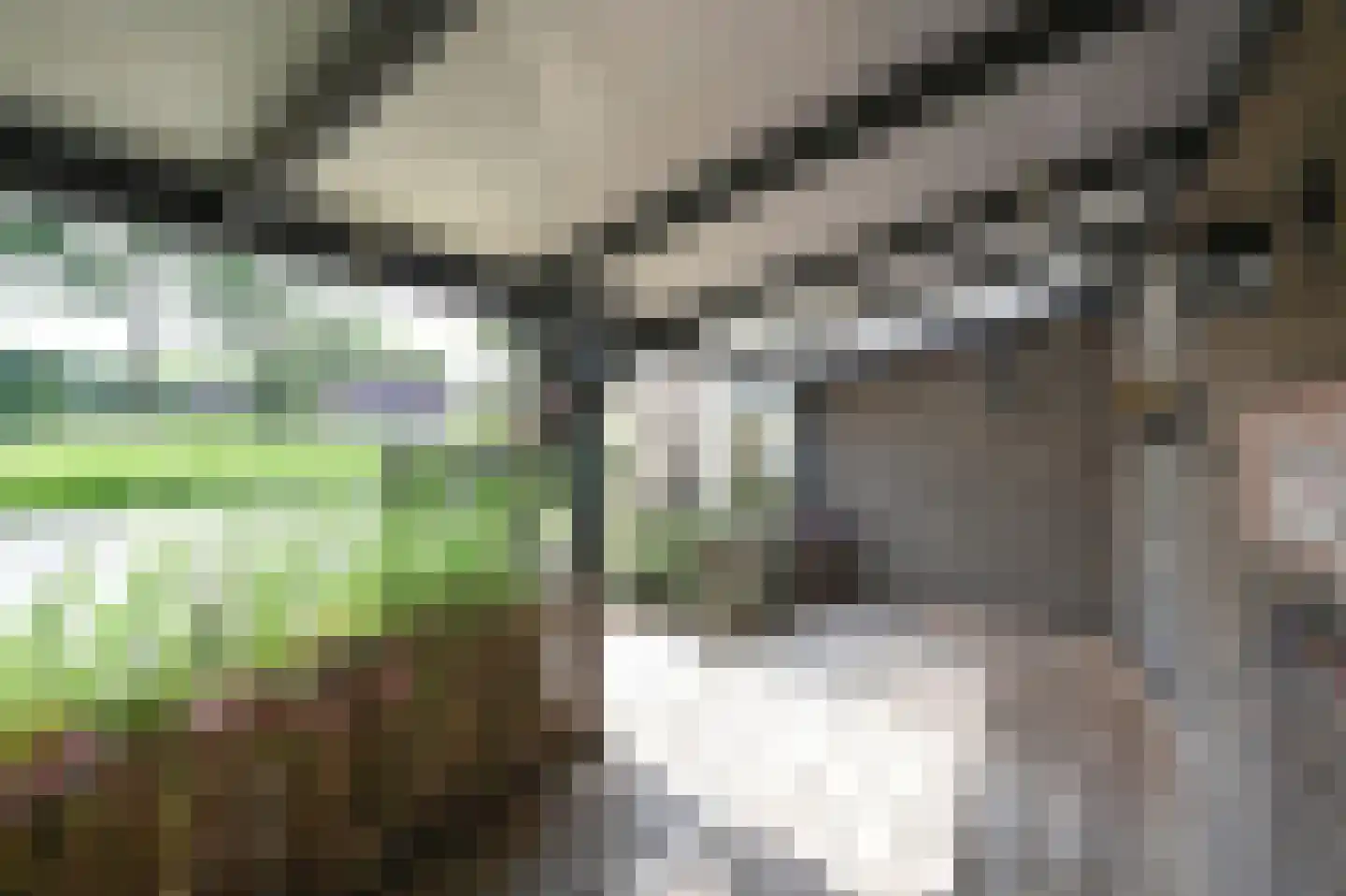 Noorddammerweg 1 h 2 De Kwakel thumbnail 5