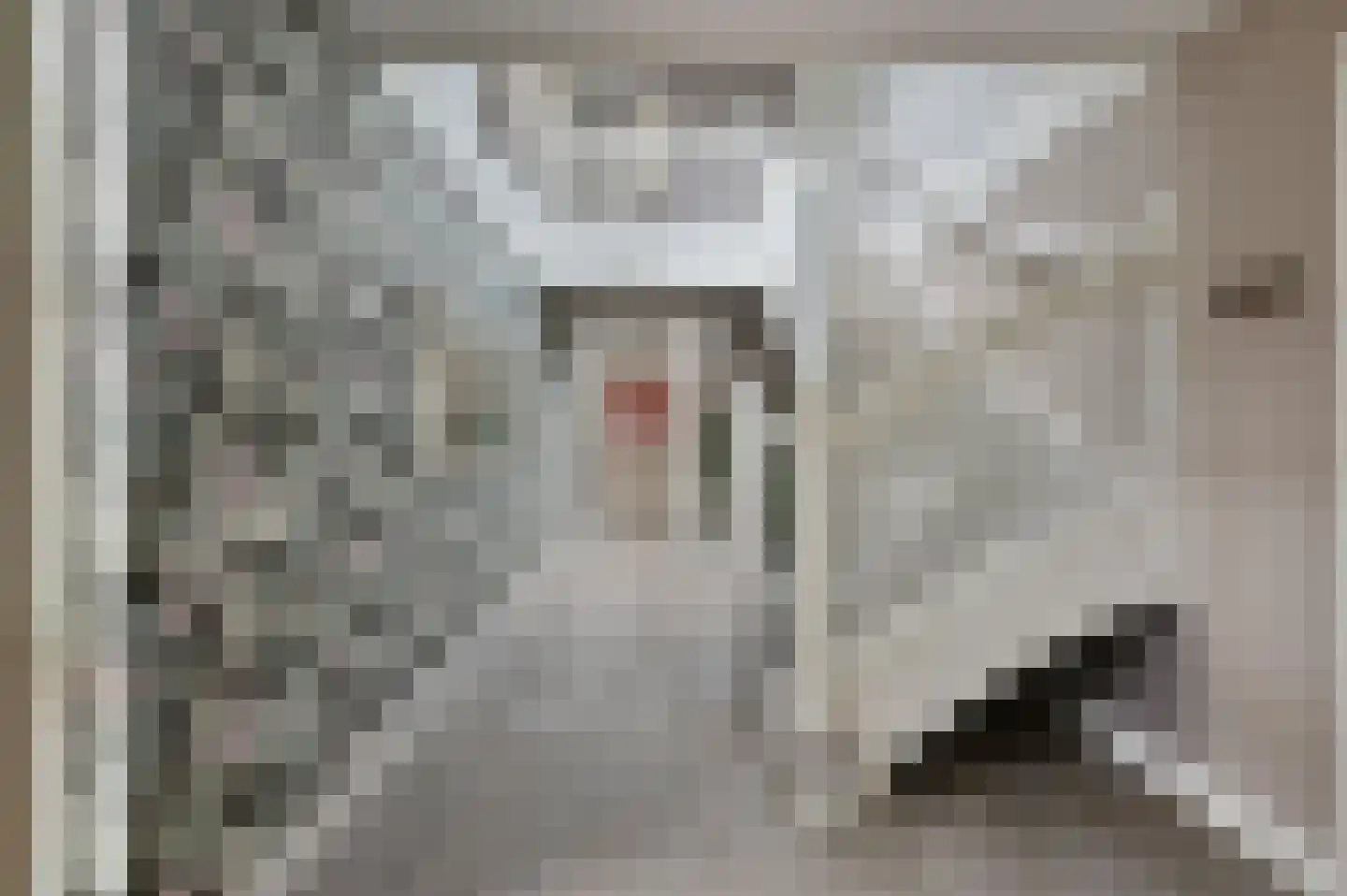 Noorddammerweg 1 h 2 De Kwakel thumbnail 6