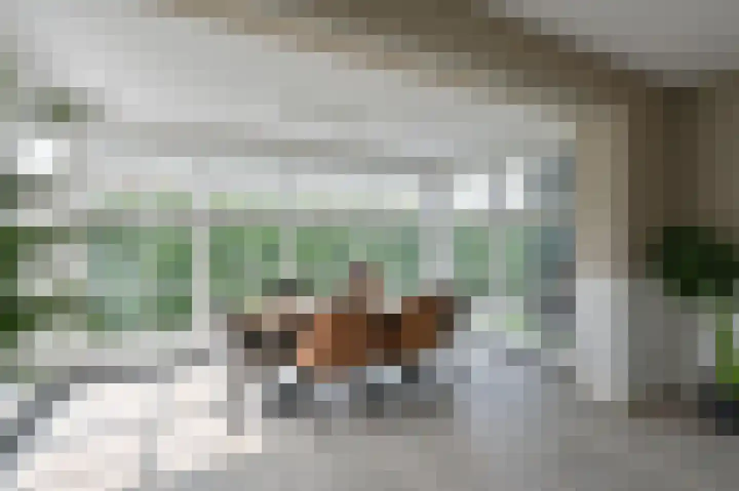 Noorddammerweg 1 h 2 De Kwakel thumbnail 8