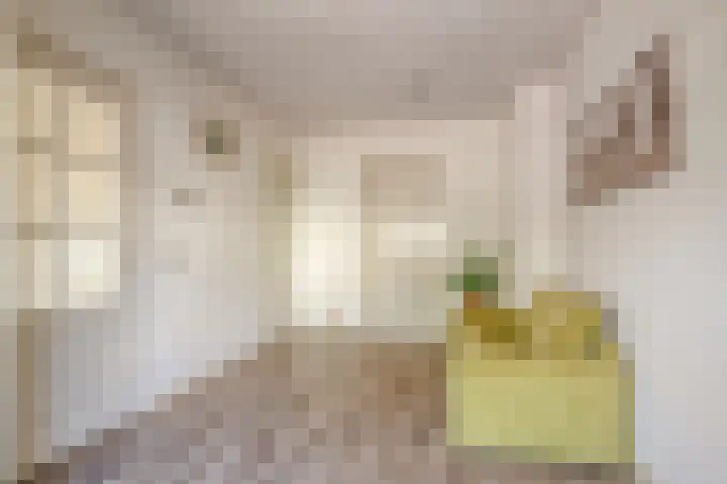 Noorddammerweg 2 Amstelveen thumbnail 18