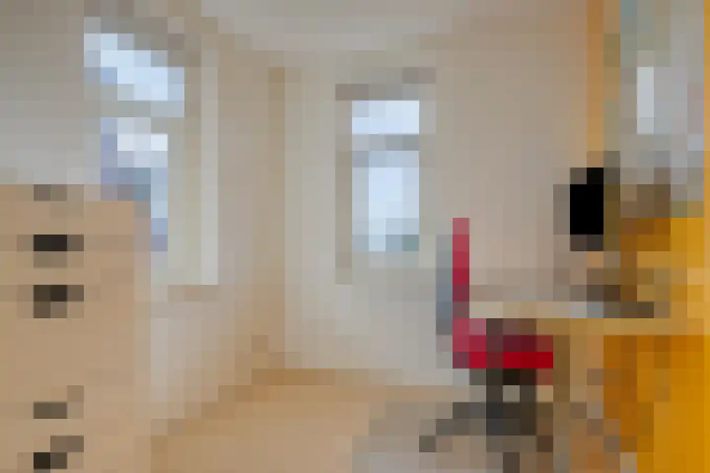 Noorddammerweg 2 Amstelveen thumbnail 26